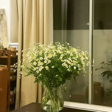 Màn cửa Linen phòng khách ngang 2,75m x cao 2,2m