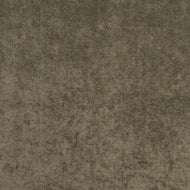 Vải Acacia Velvet Lounge Restful